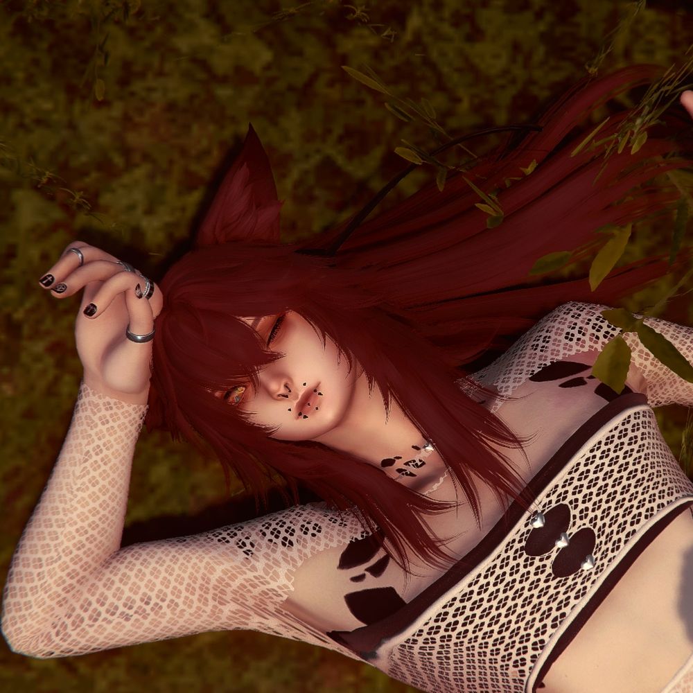 Vanitas
