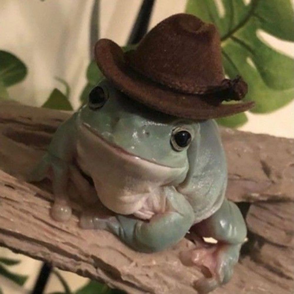 Ana 