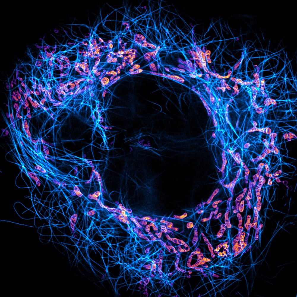 Stephan Lab