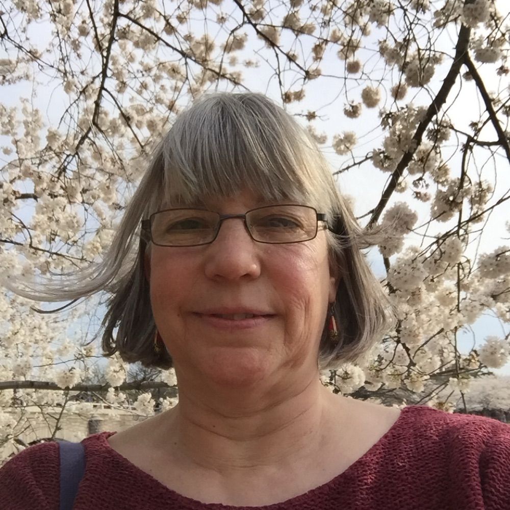 Liz McNichol