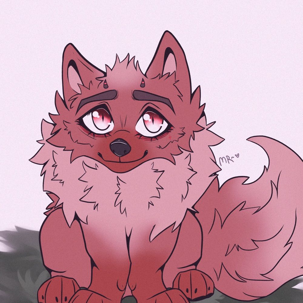 сержант пушистые лапки 🐾