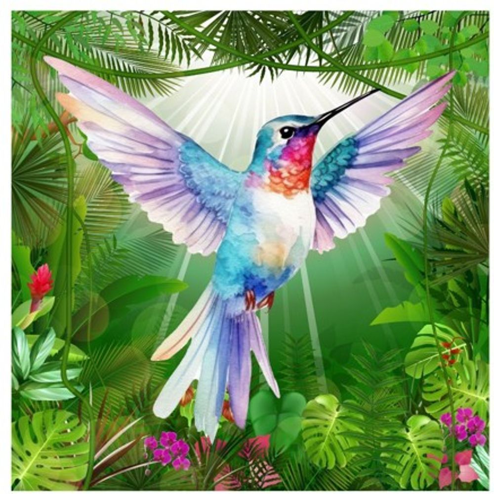 PinkHummingbird