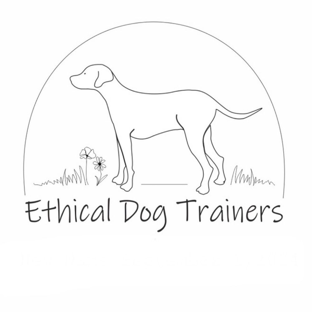 Profile picture ethicaldogtrainers.bsky.social