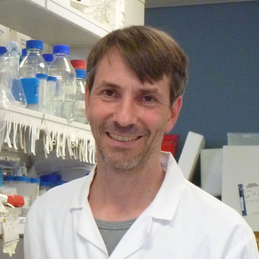 Matthias Krause