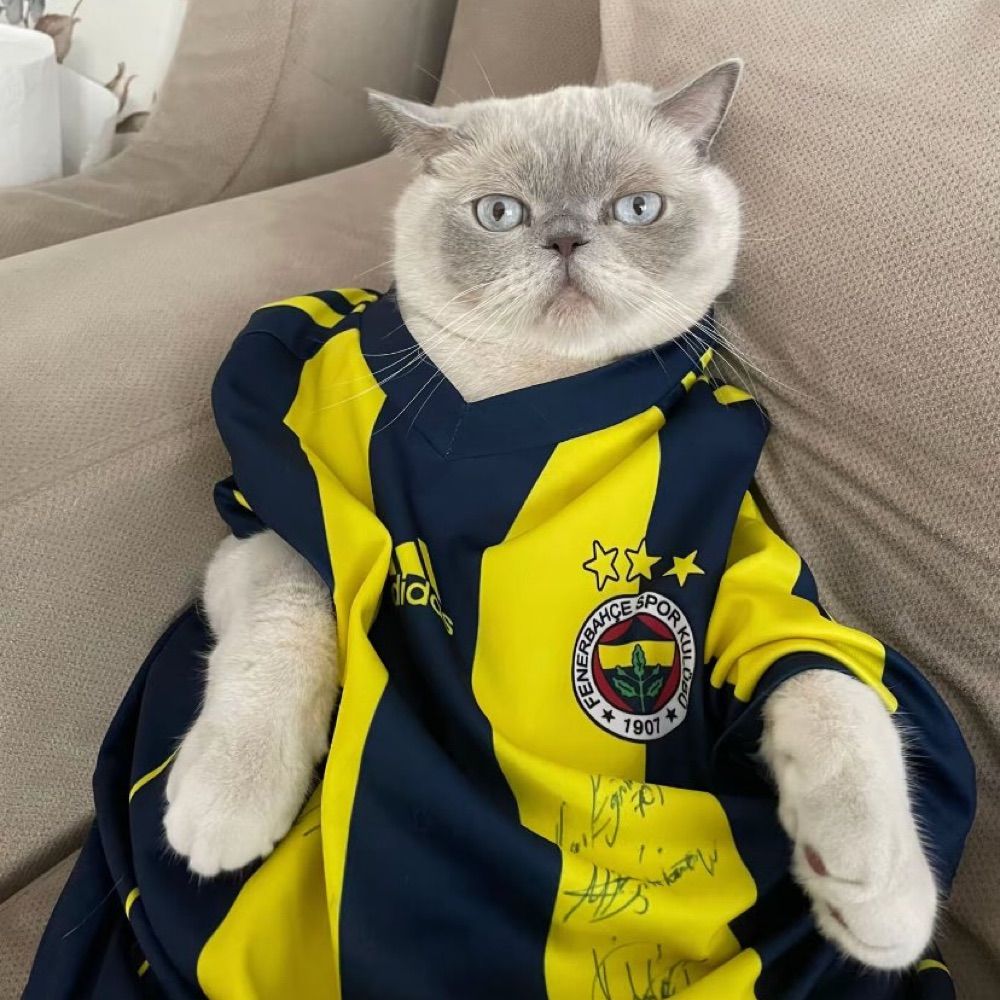 Mehmet YILDIZ