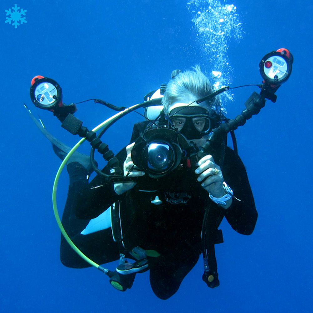 Coral Reef Dreams