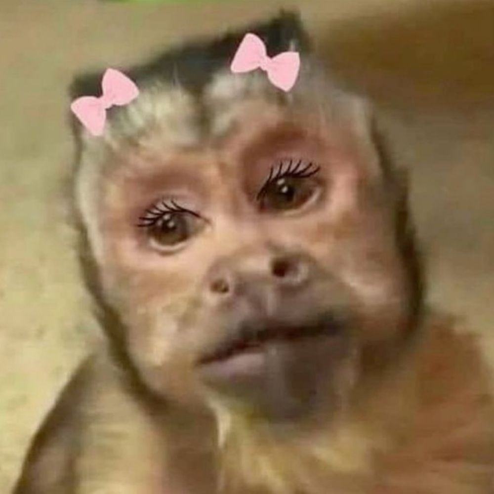lu