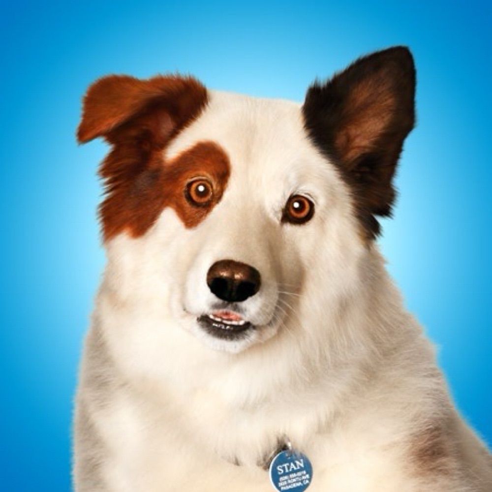 Dog with a Blog with no context