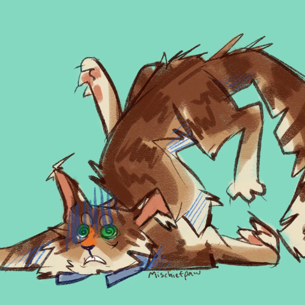 Mitch 🐈