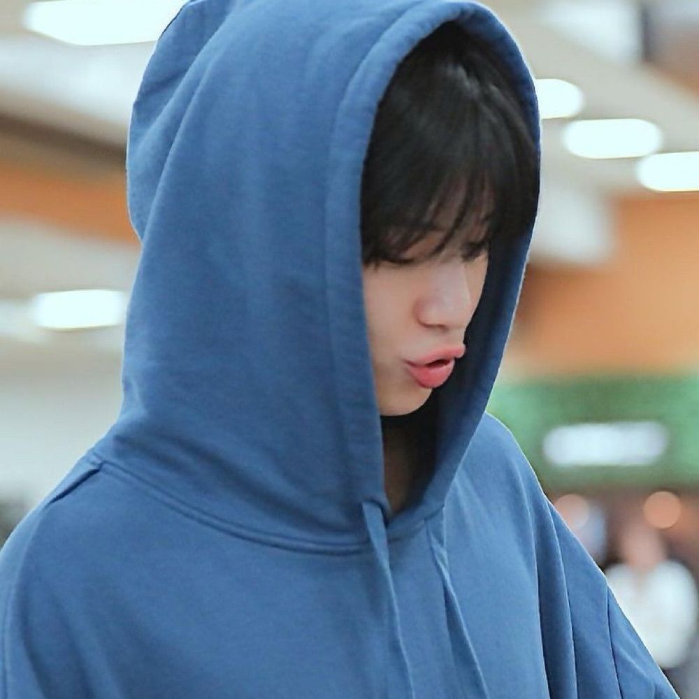 𝑷𝒂𝒖𝒍𝒊𝒏𝒉𝒂 𝒅𝒐𝒔 𝑪𝒐𝒏𝒆 💎