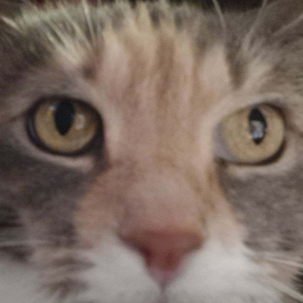 Oliver