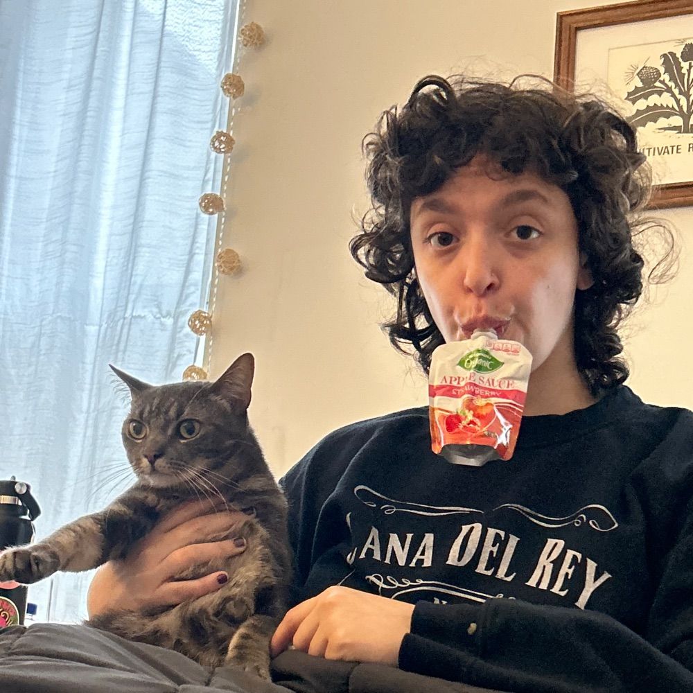 gogurt burglar