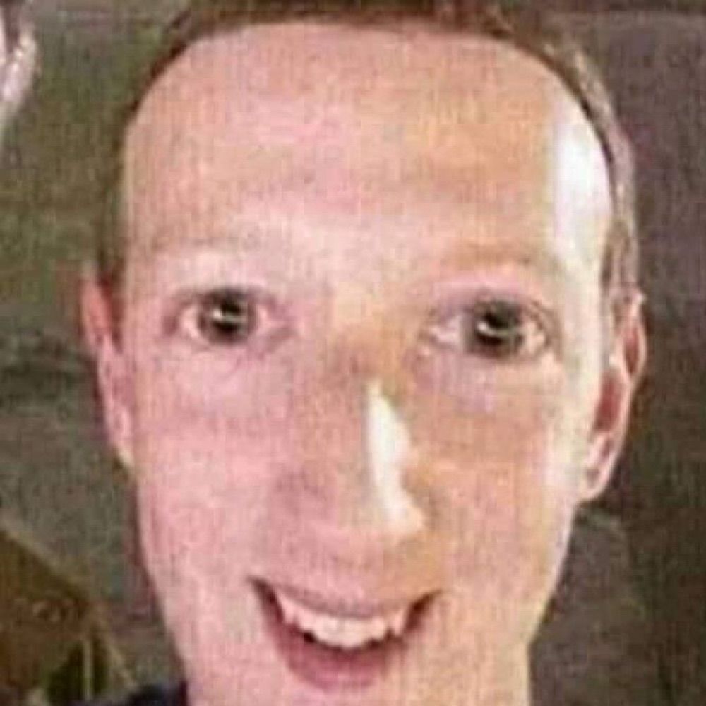 literally zuckerberg