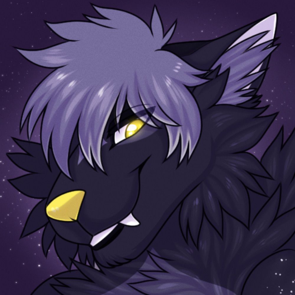 North Wolf and Shadow 
