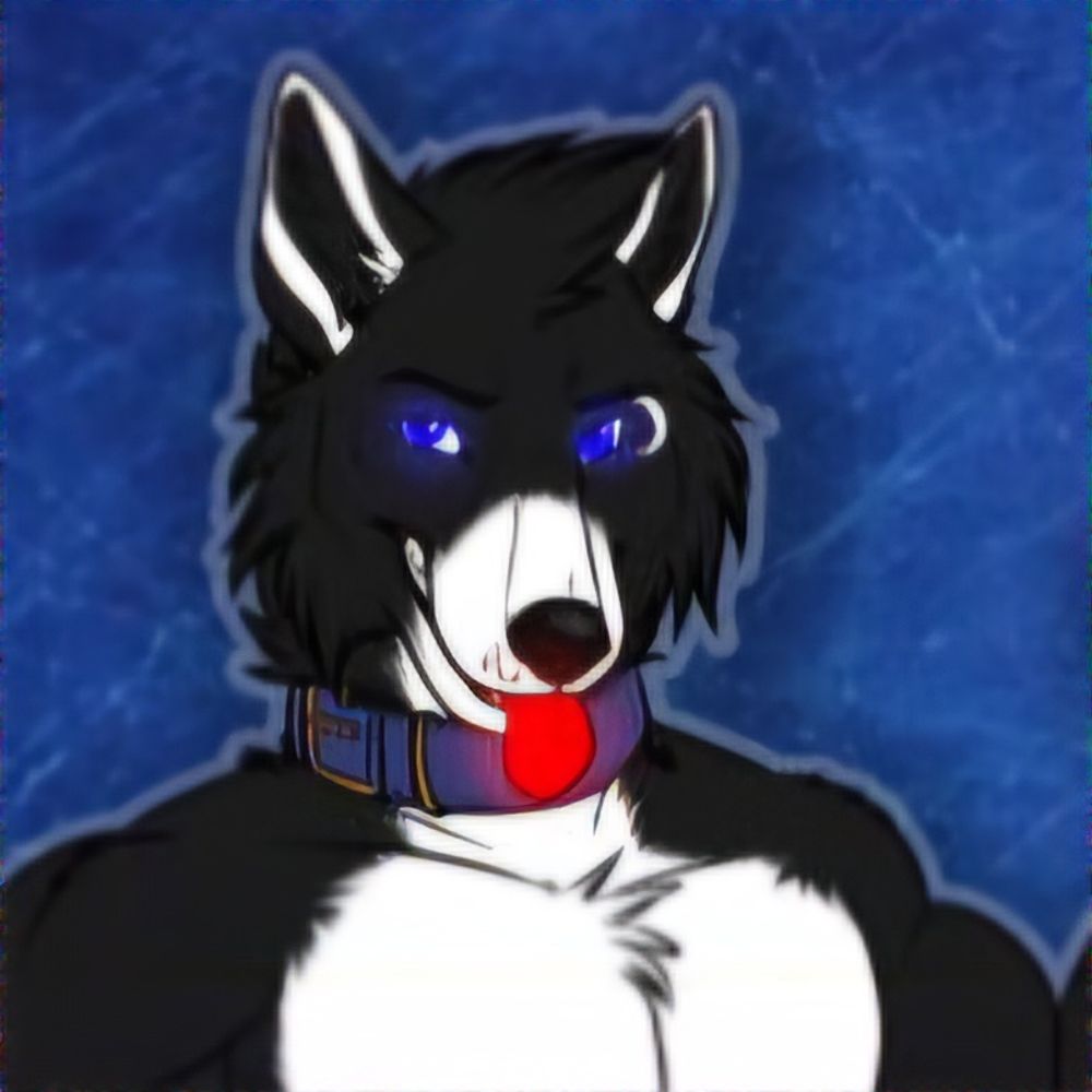 Shadow ShepskyAD