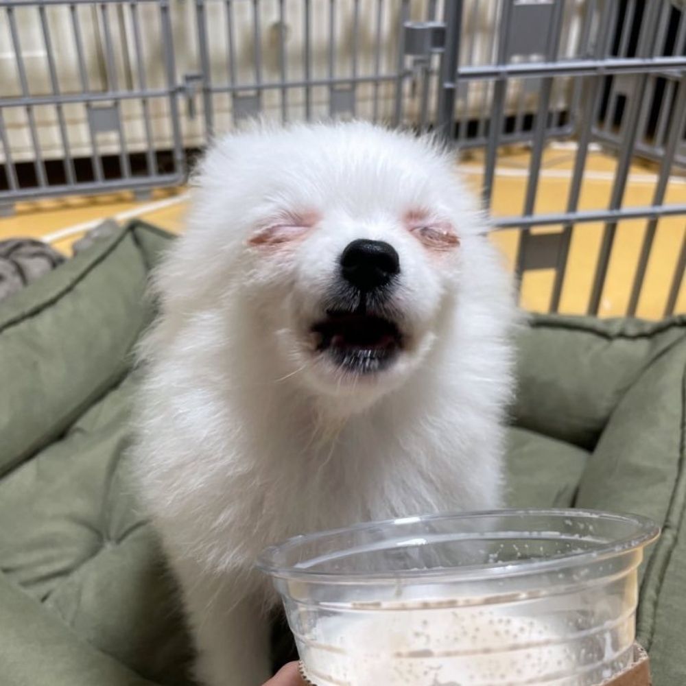 두식
