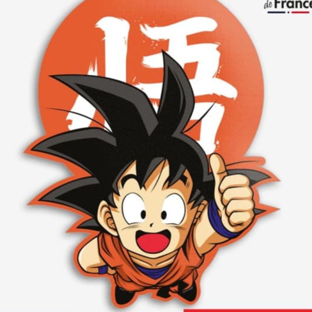 Goku Fan