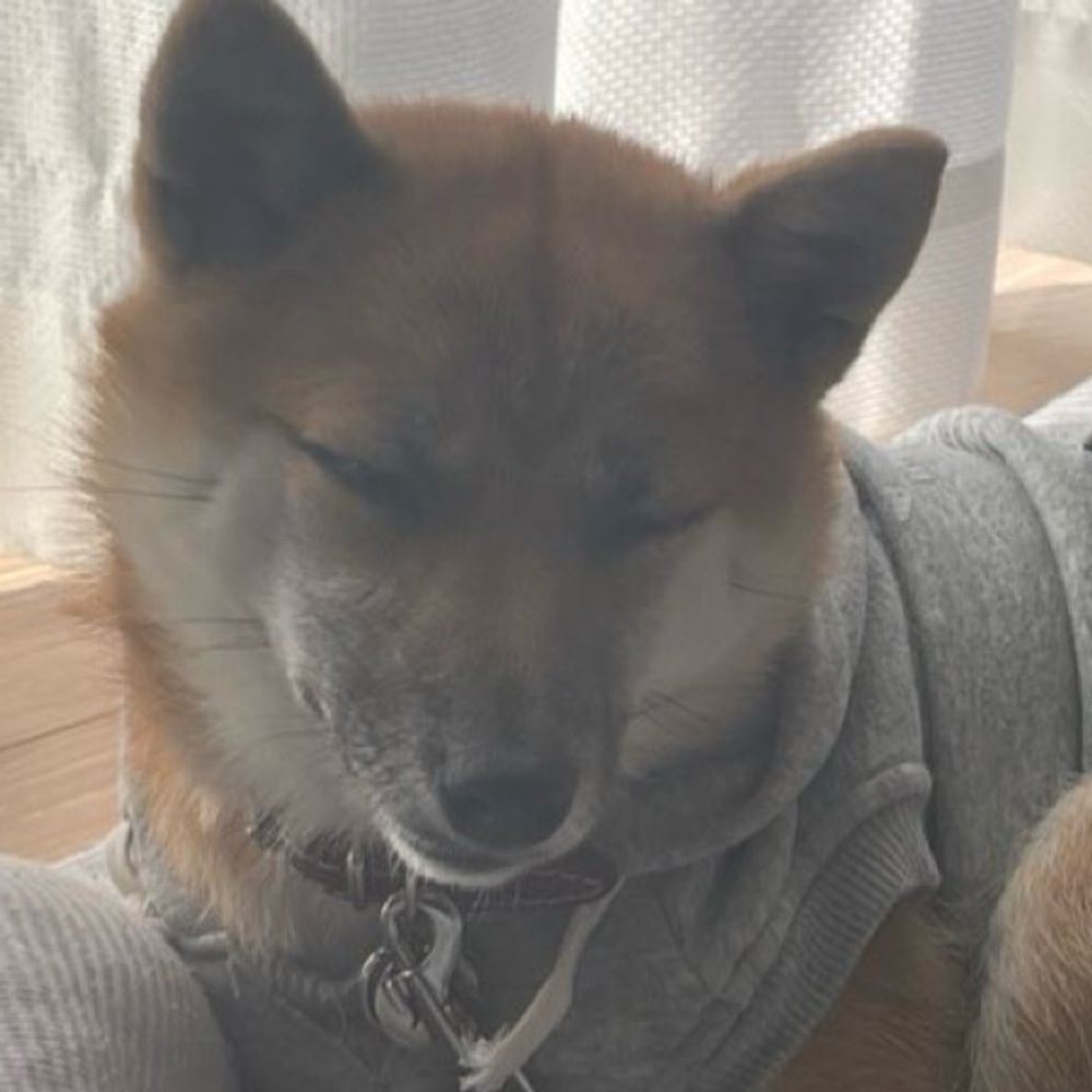 るる