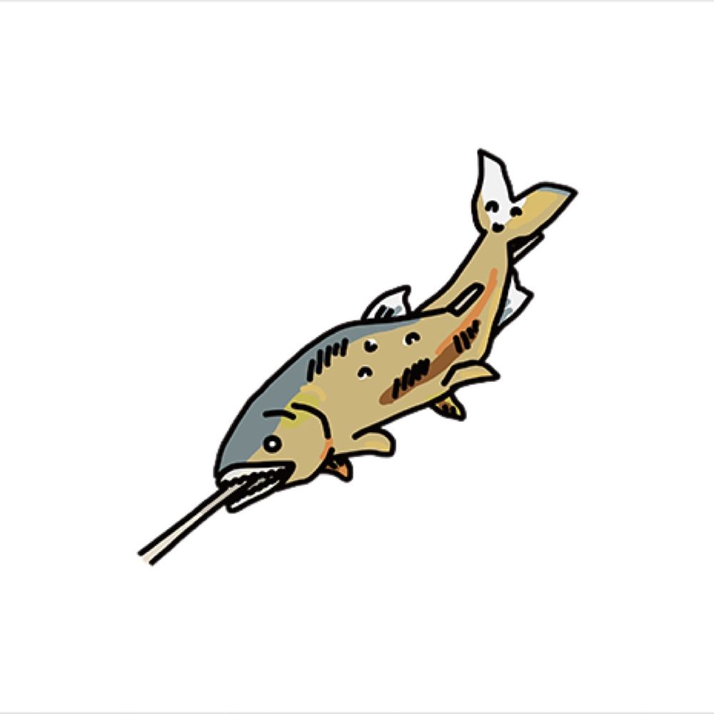 鮎