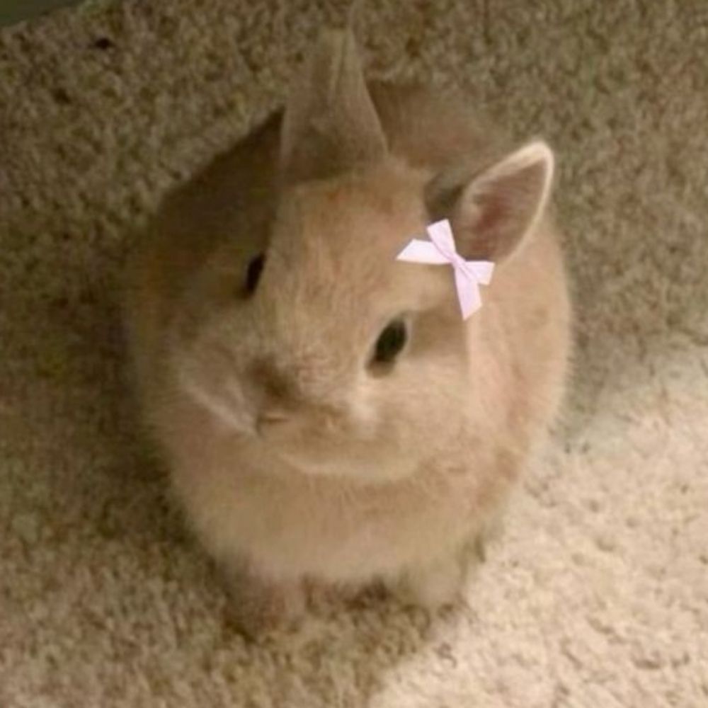 Bunnerony 🎀🐰🍂