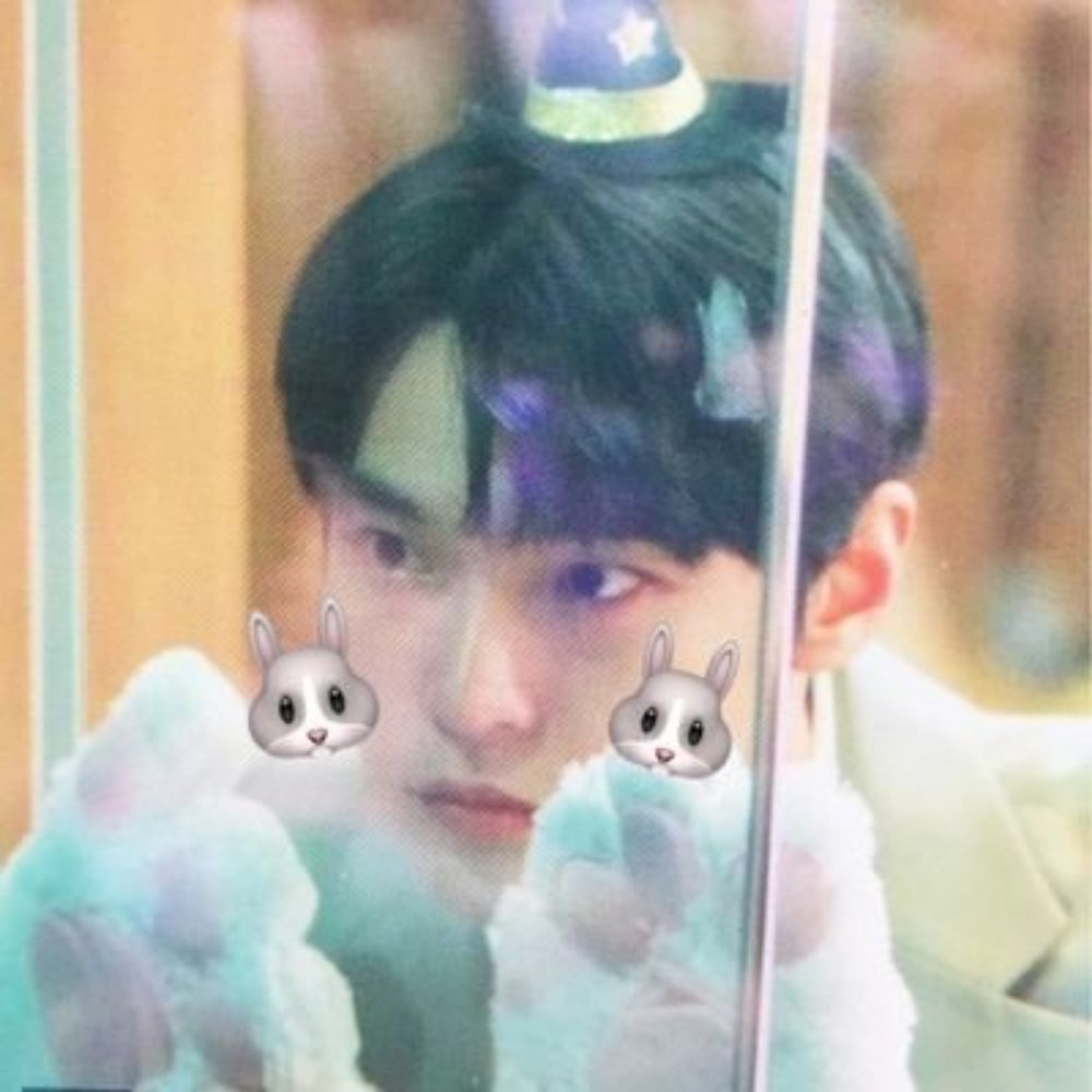도깽