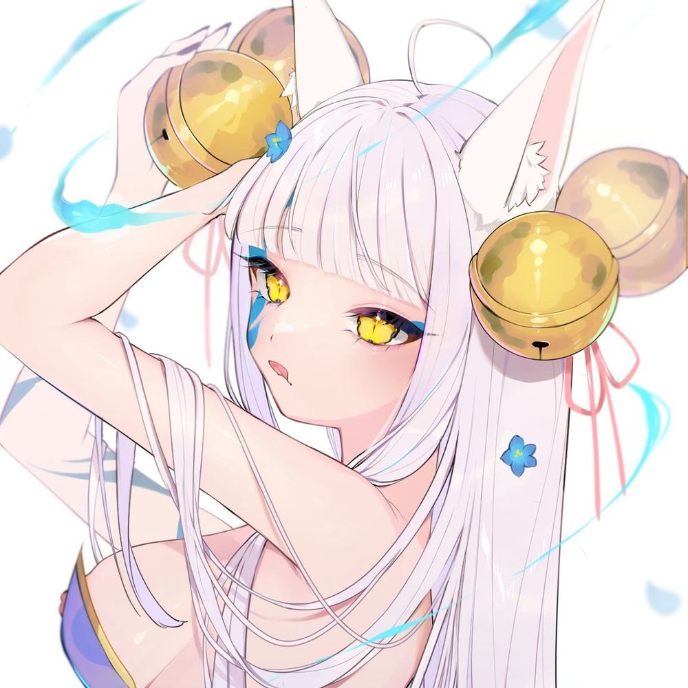 🐱