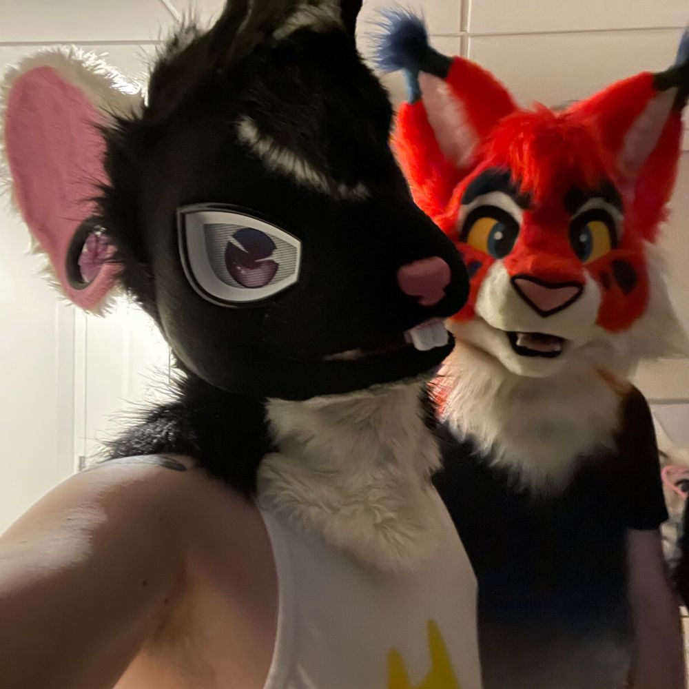 Furrydesu