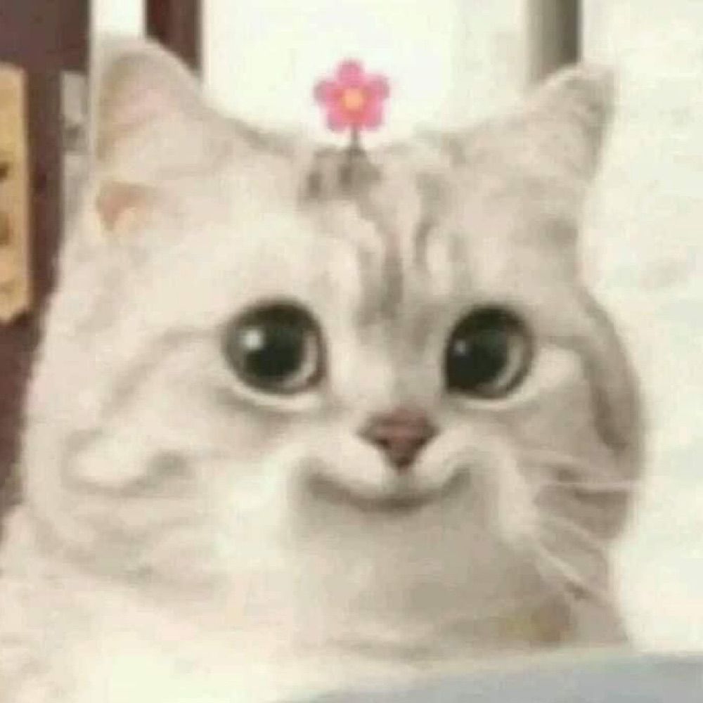 ゆっけちゃん