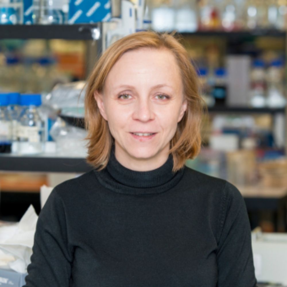 Dr Anna Maria Ochocka-Fox