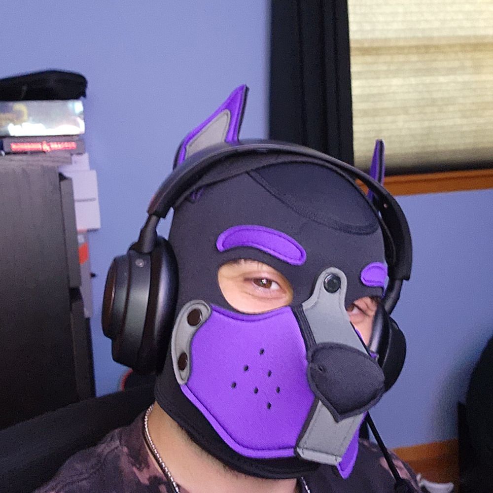 Pup Moke