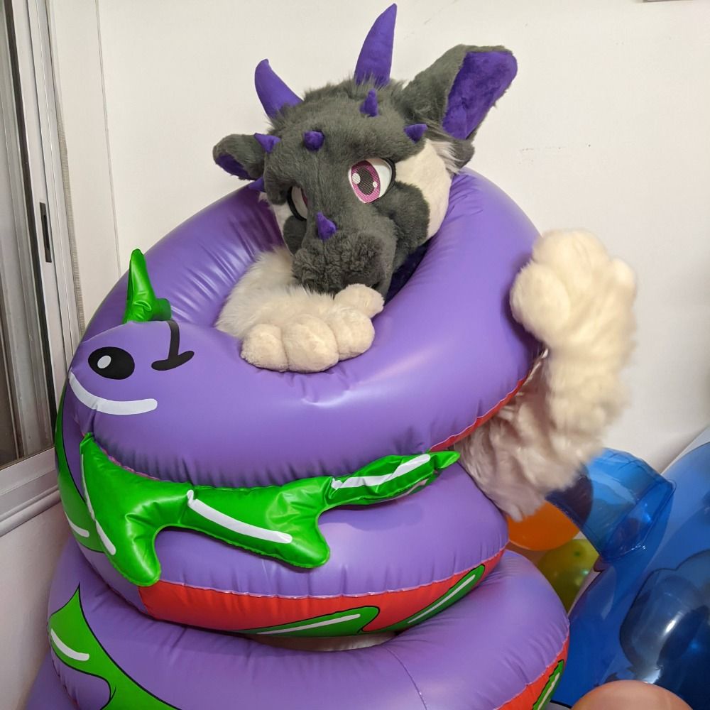 Cukin Cookies🍪🔜🏕FurCamp Cordobés