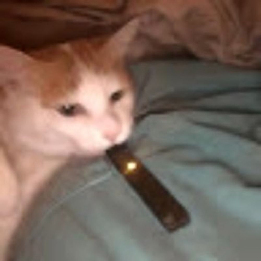 boki 