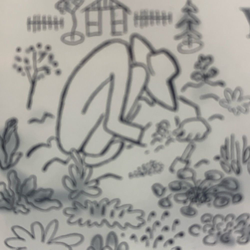 농모