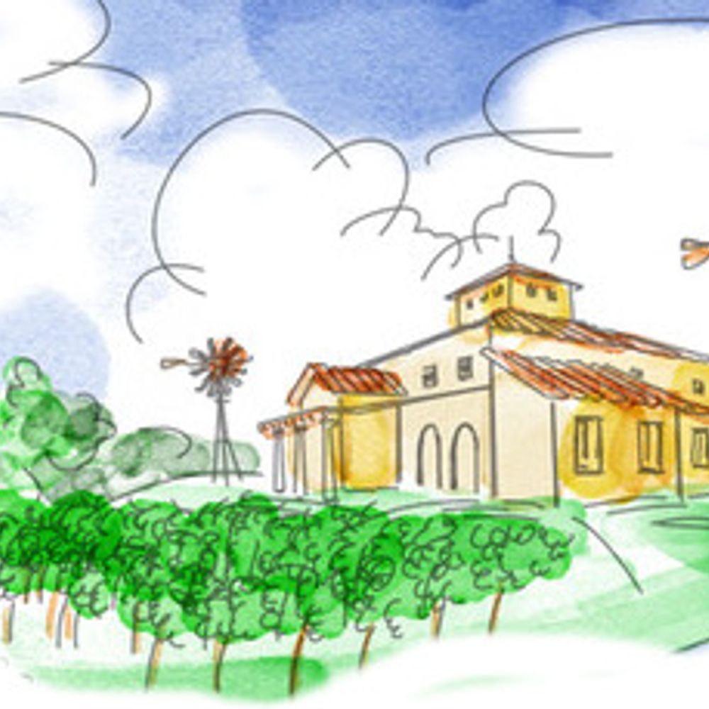 Blue Sky Vineyard