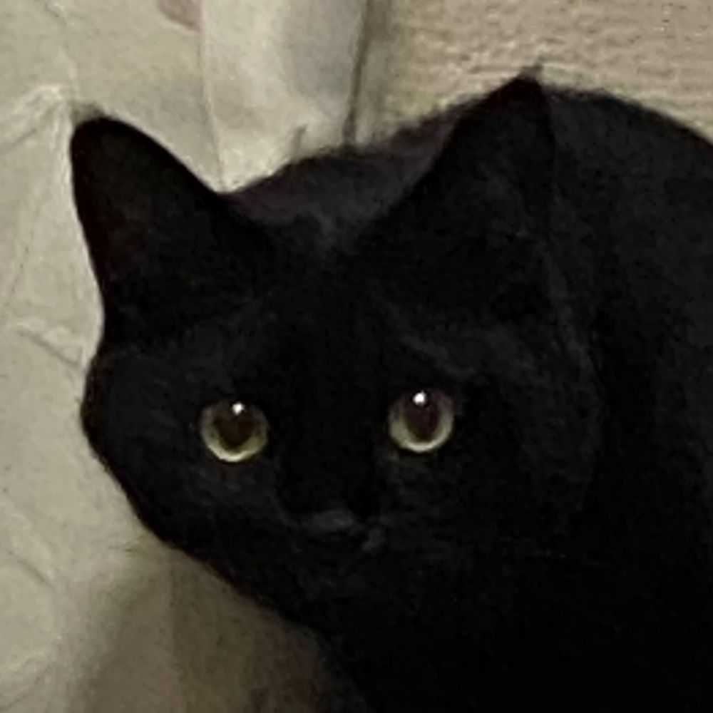 たき