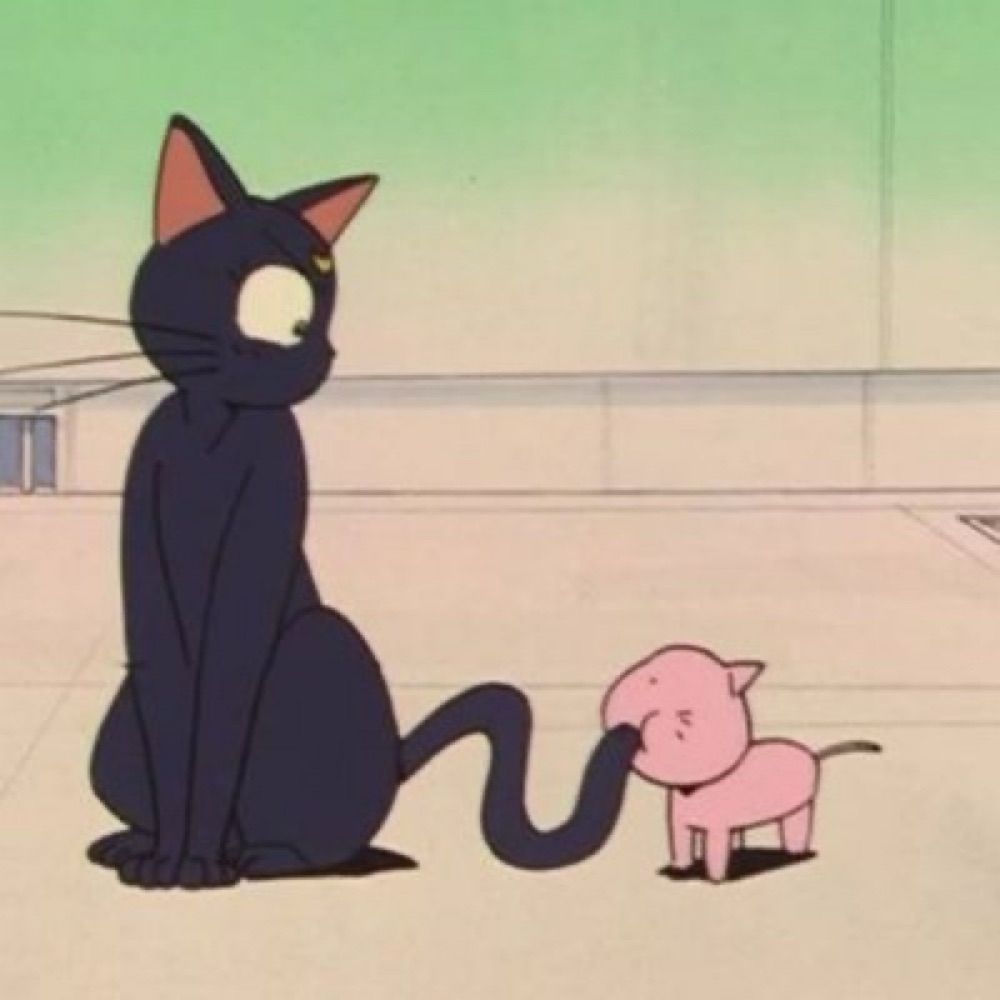 みみみ