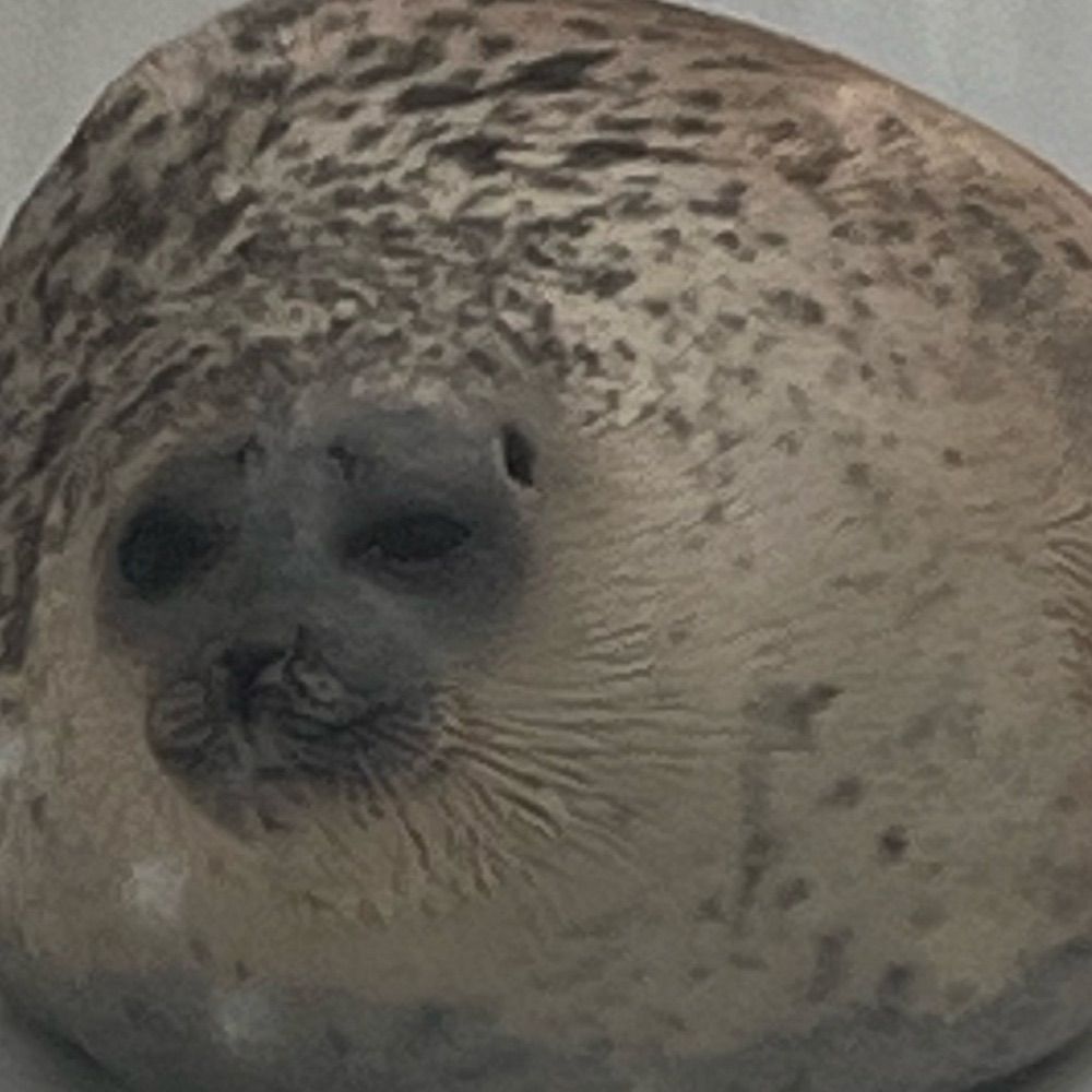 send