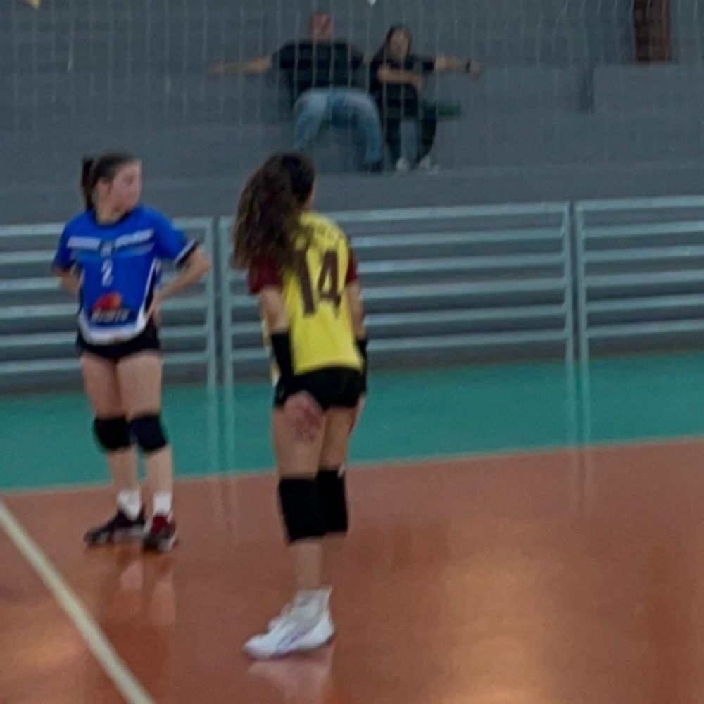 Gih Rocha 