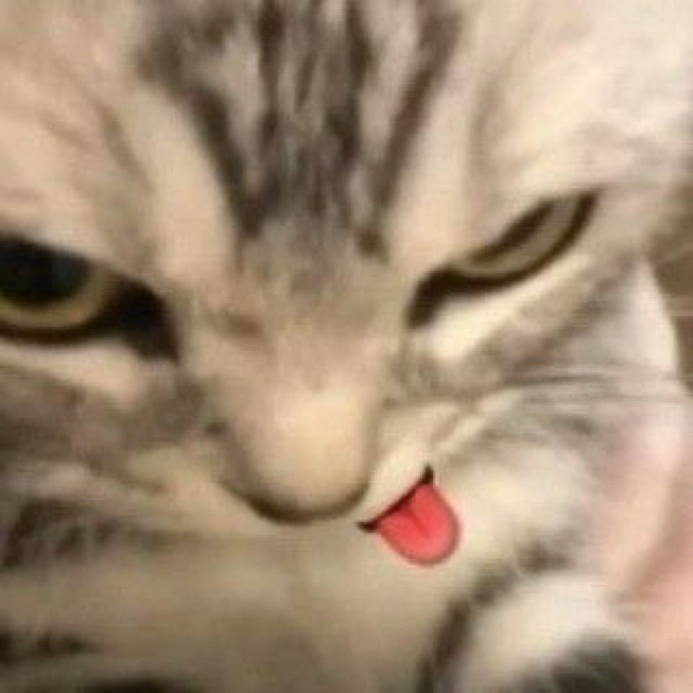 bribribri