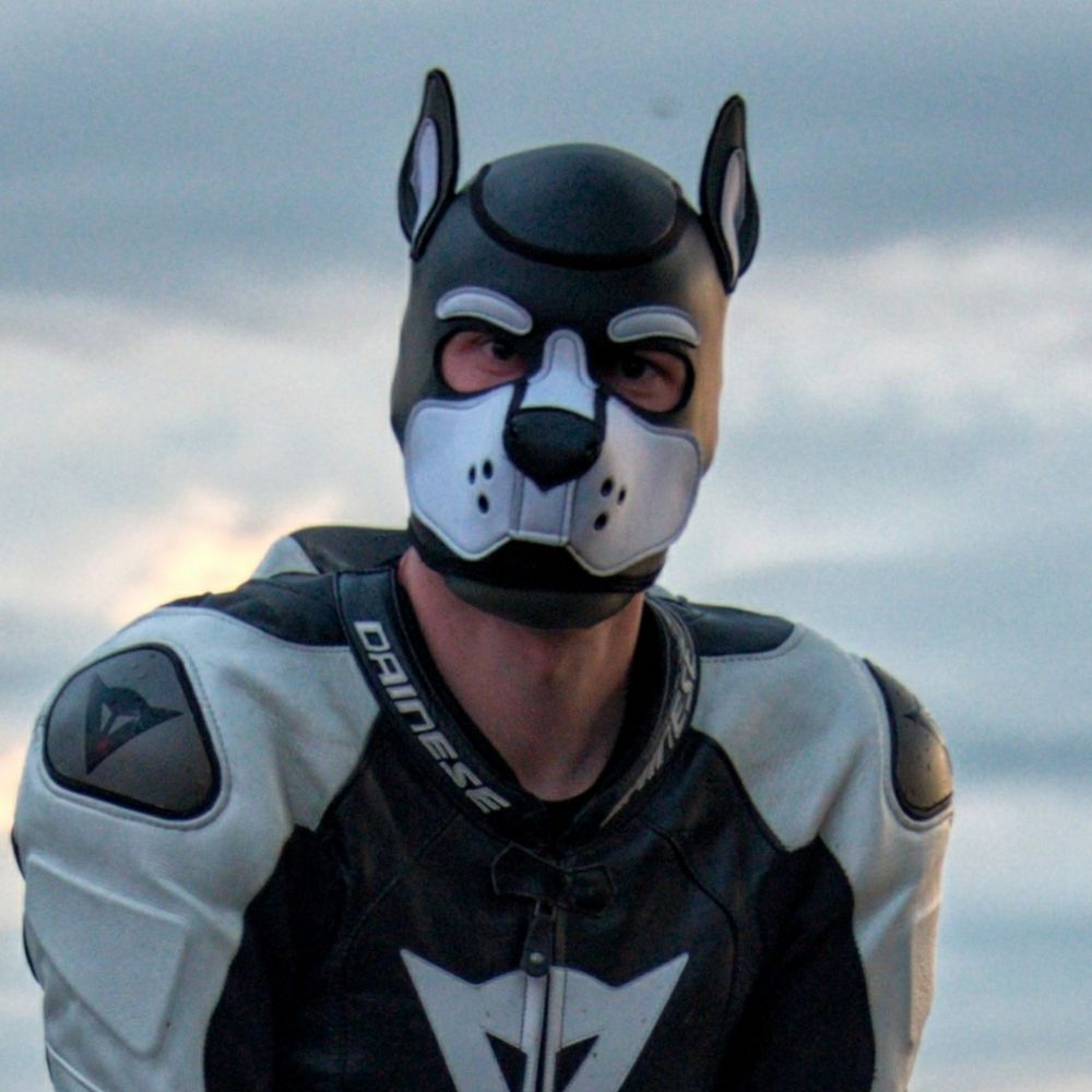 Pup Liam