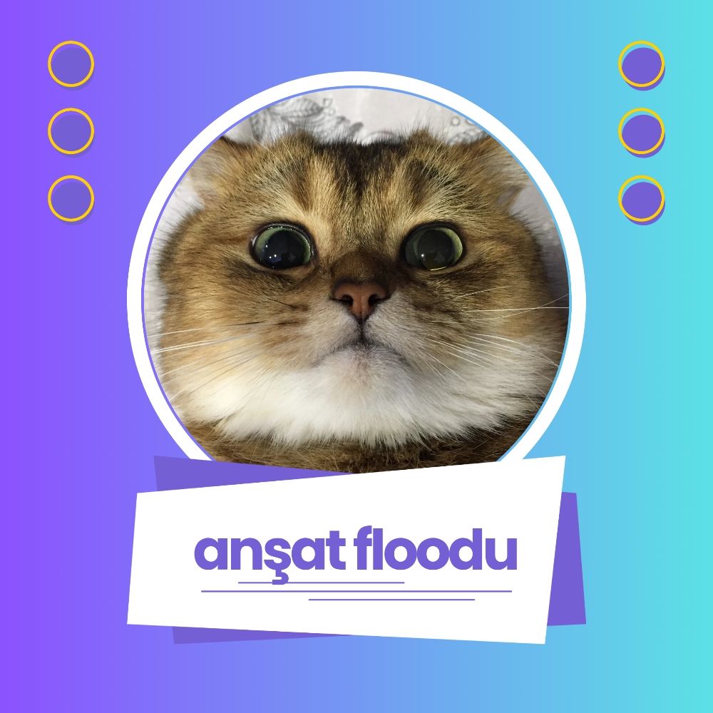 AnlatFloodu