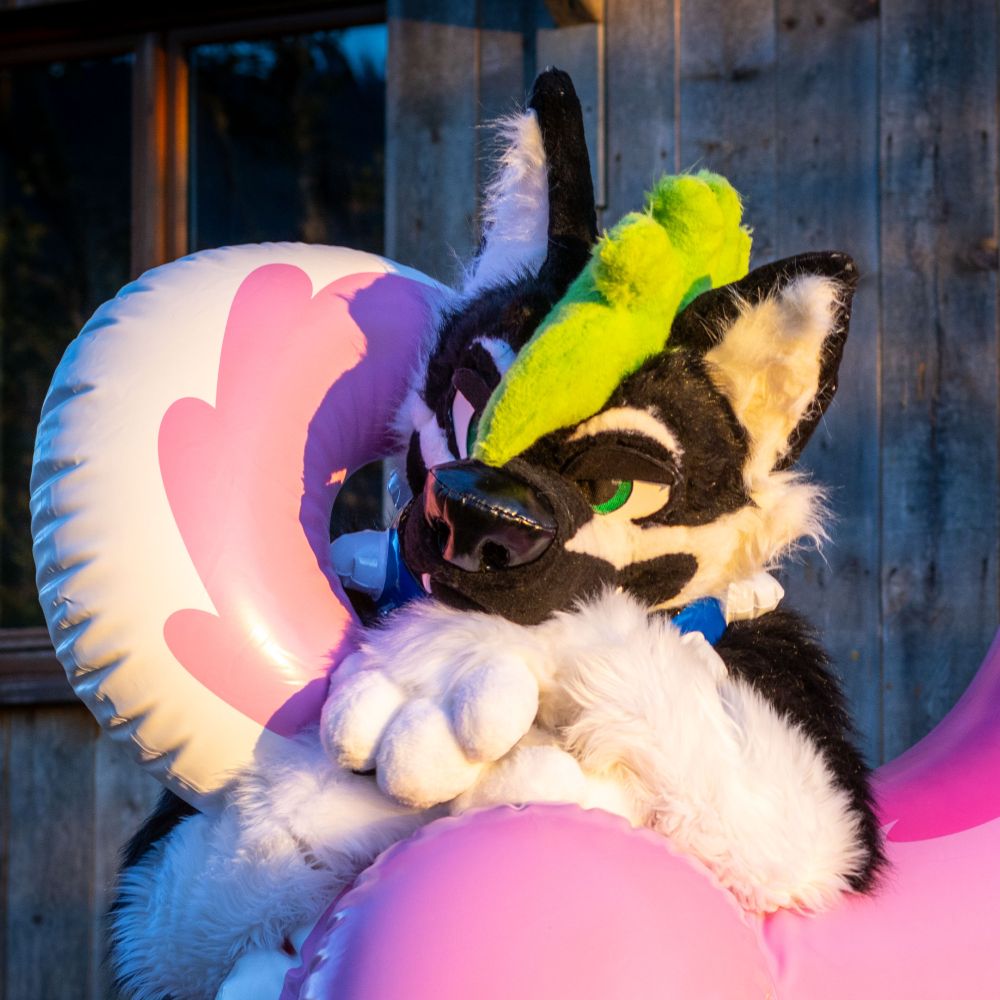 Brek Woof
