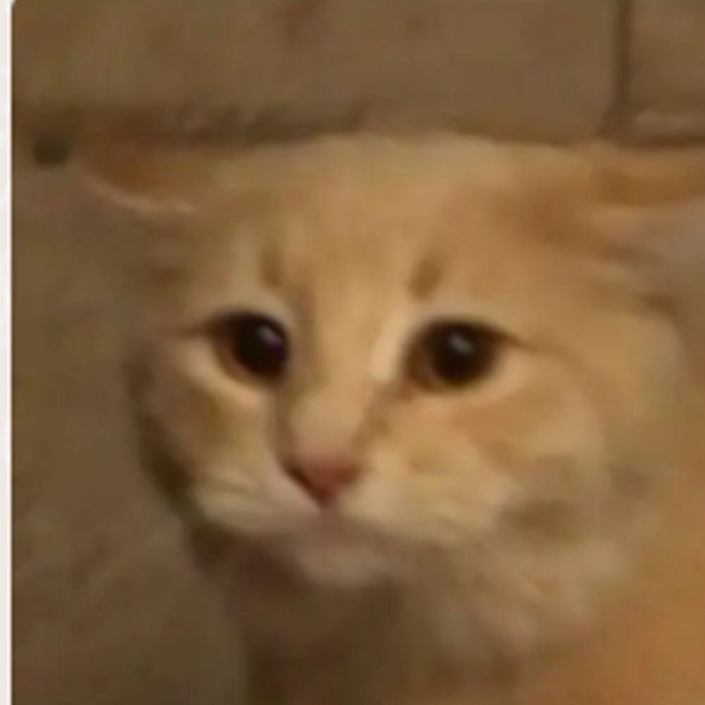 𝑟𝑜𝑑𝑟𝑖𝑔𝑜