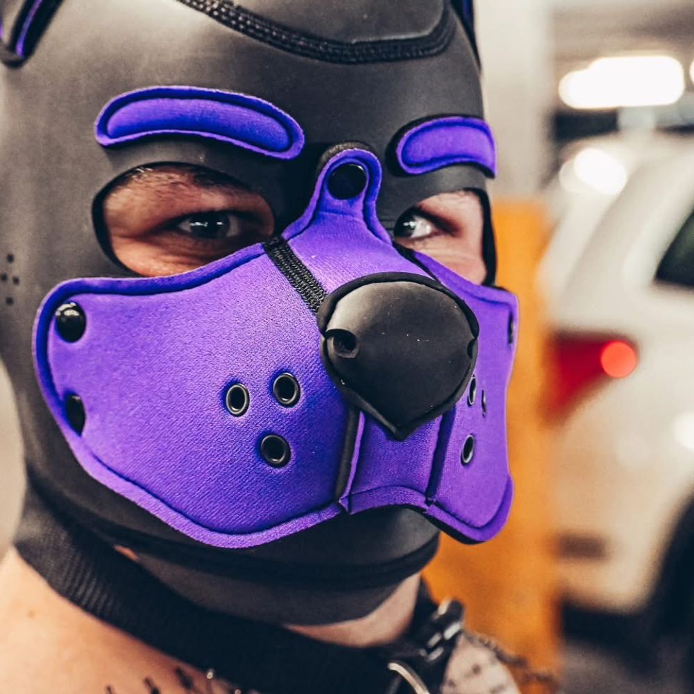 cub-boi.bsky.social profile picture