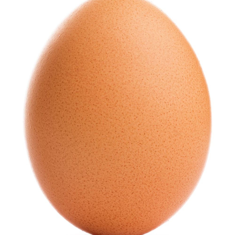 Egg Watch 