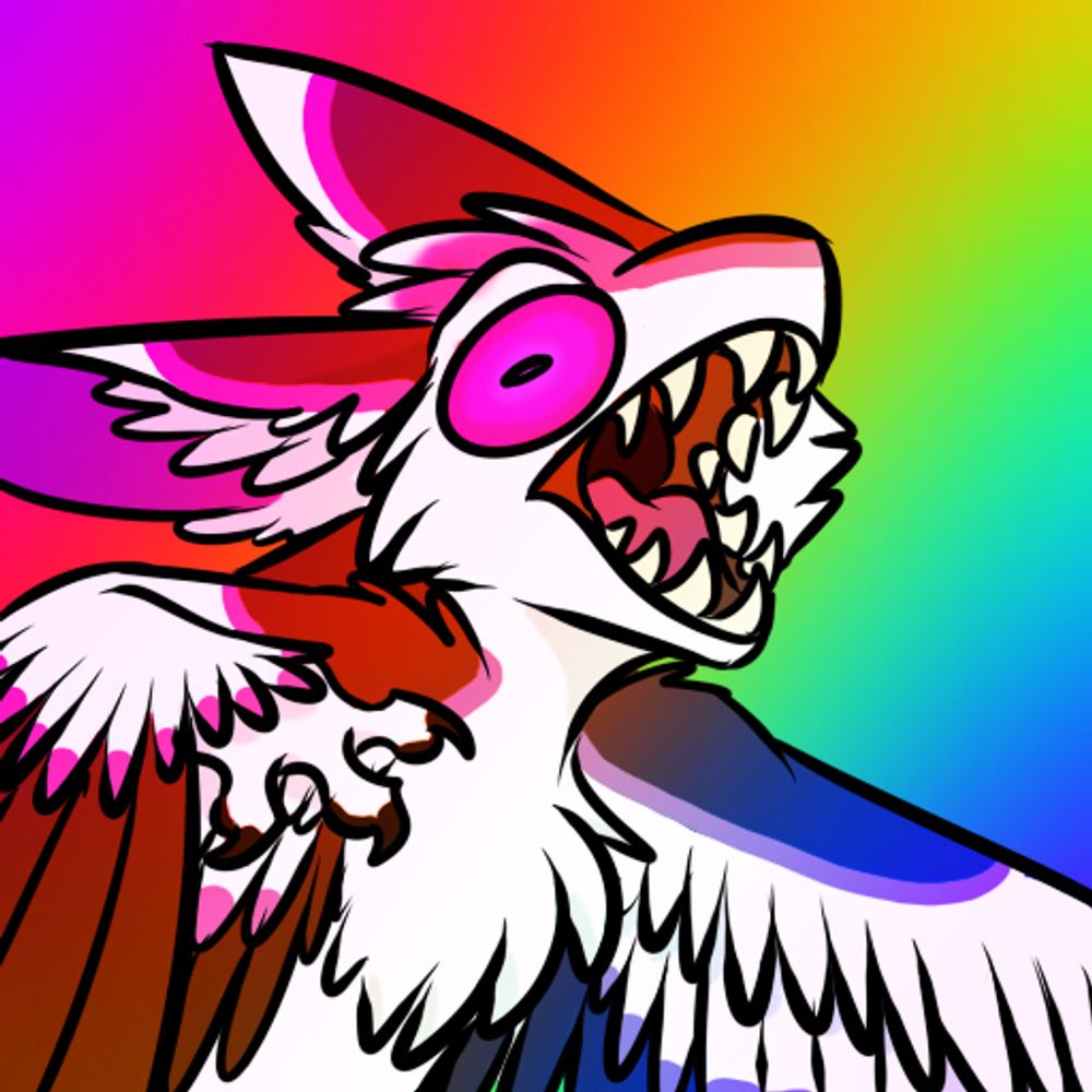 funnelvisionvrc.bsky.social profile picture