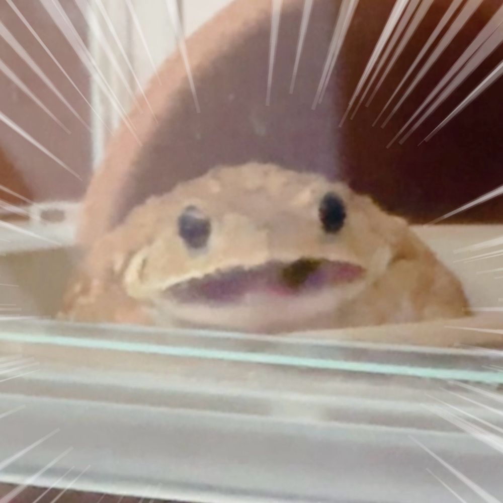 しけ