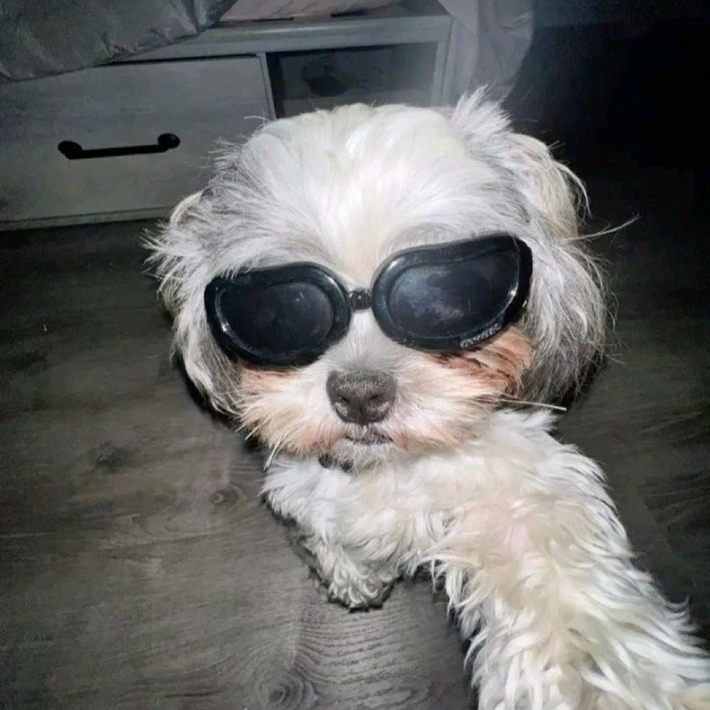 evimaravilhosa