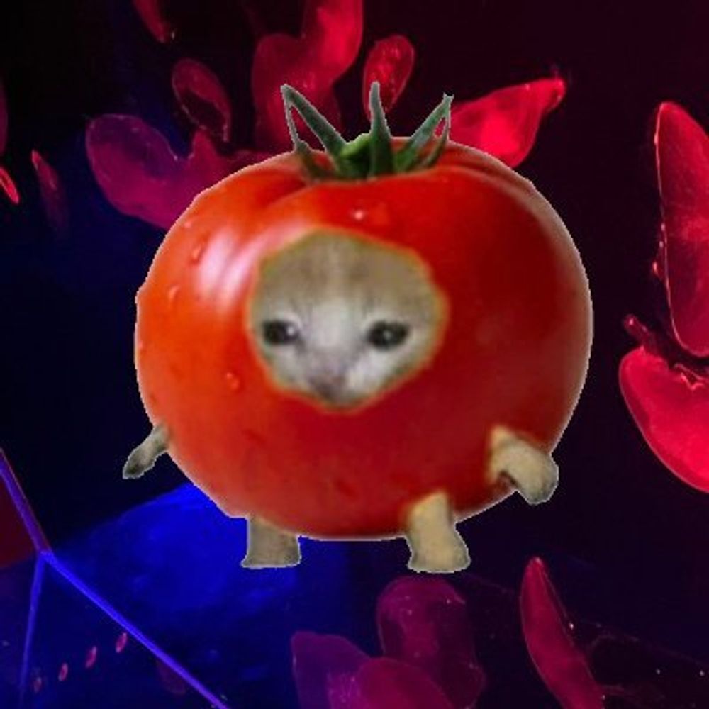 ketchup!!