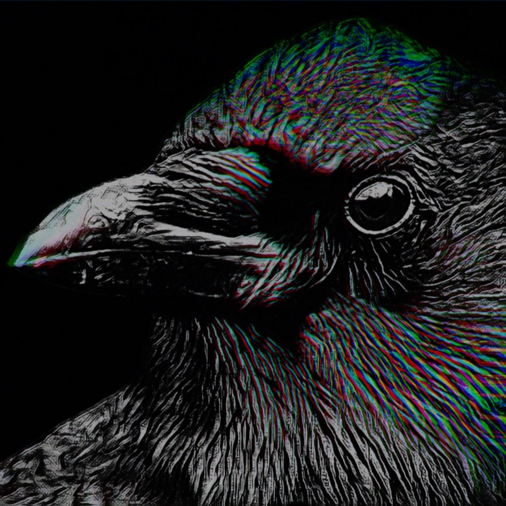 J. Prometheus Birdsong